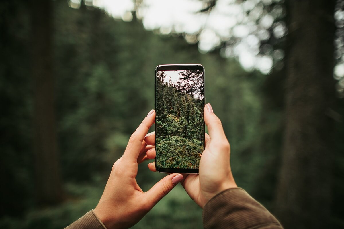 Мобильная Фотография: Секреты Съёмки и Обработки Фото | TechTrendy | Дзен