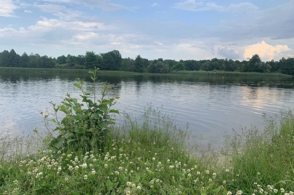    Шесть воронежских мостов остаются под водой из-за паводков