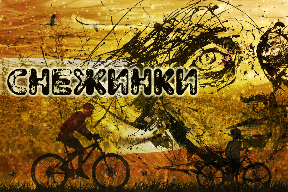 Пронесемся сквозь ветер и опять остановимся