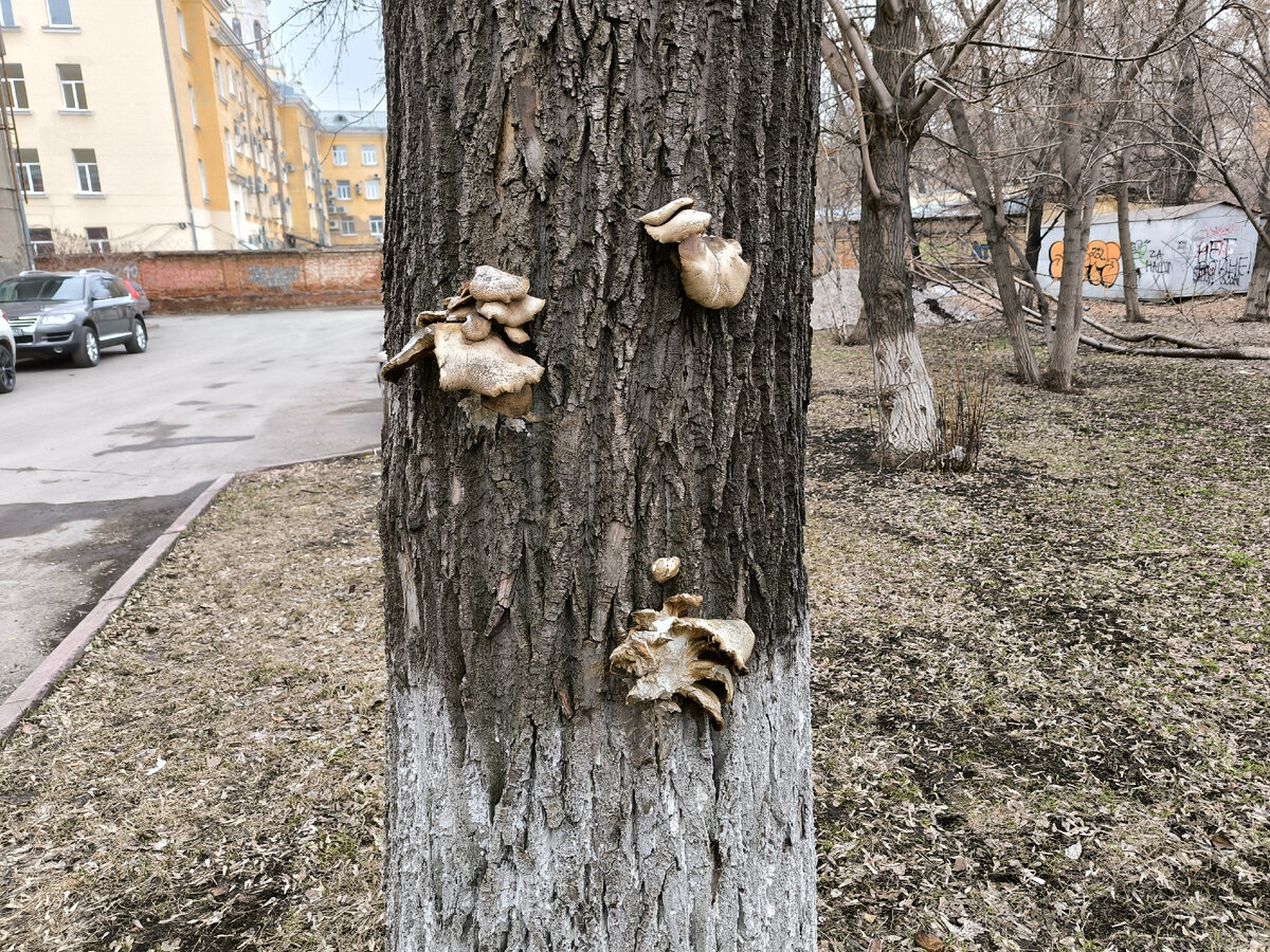 Случай редкий, кстати