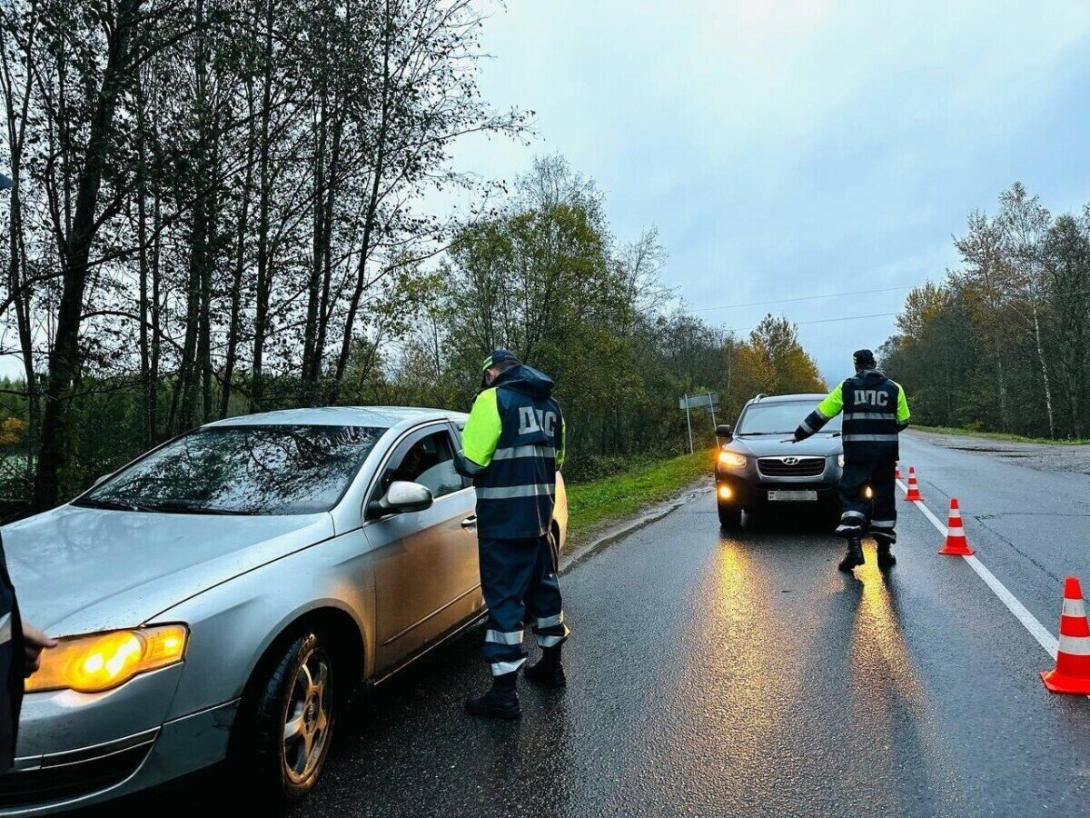 В ГАИ Беларуси создали рейдовые группы из-за «самого грубого нарушения».  Где будут дежурить даже ночью? | Telegraf - Новости | Дзен