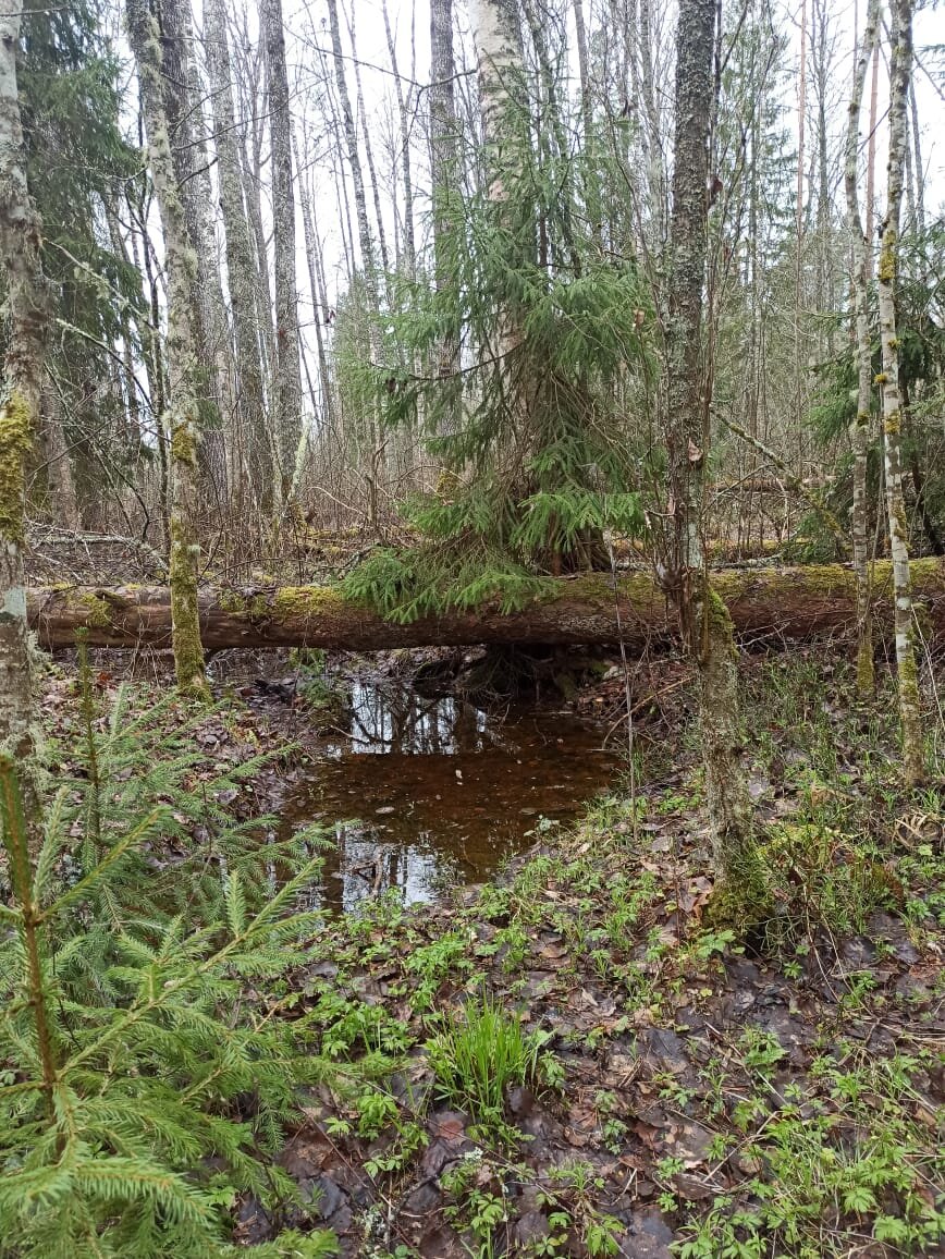 Ух, и красивущие же у нас места! Сказочные!