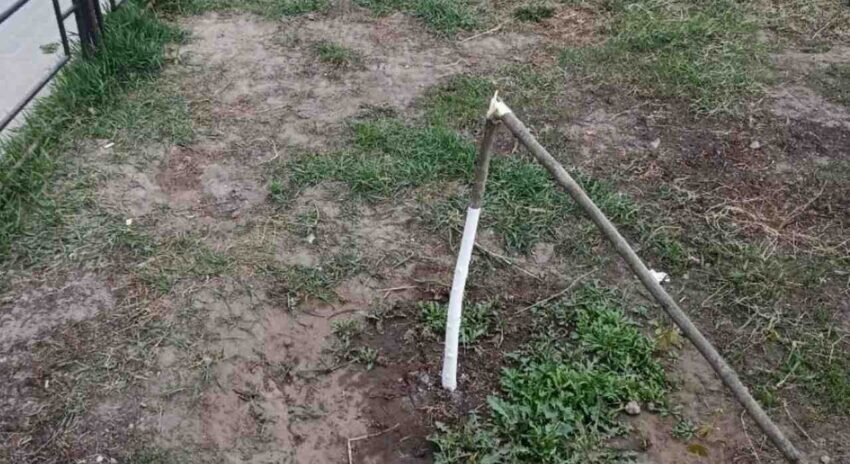    Фото tv-gubernia.ru.