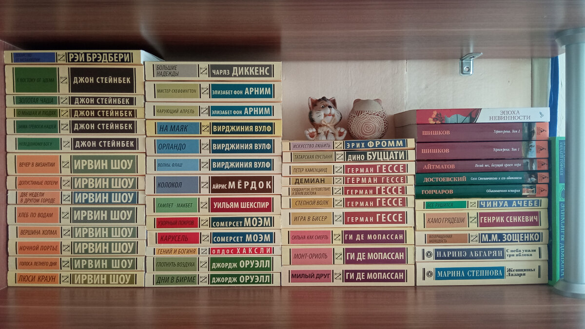 Книги в мягких обложках, прочитанные и оставшиеся в моей личной библиотеке