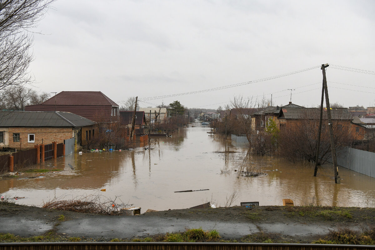 Фото: Sergey Nikiforov/Global Look Press