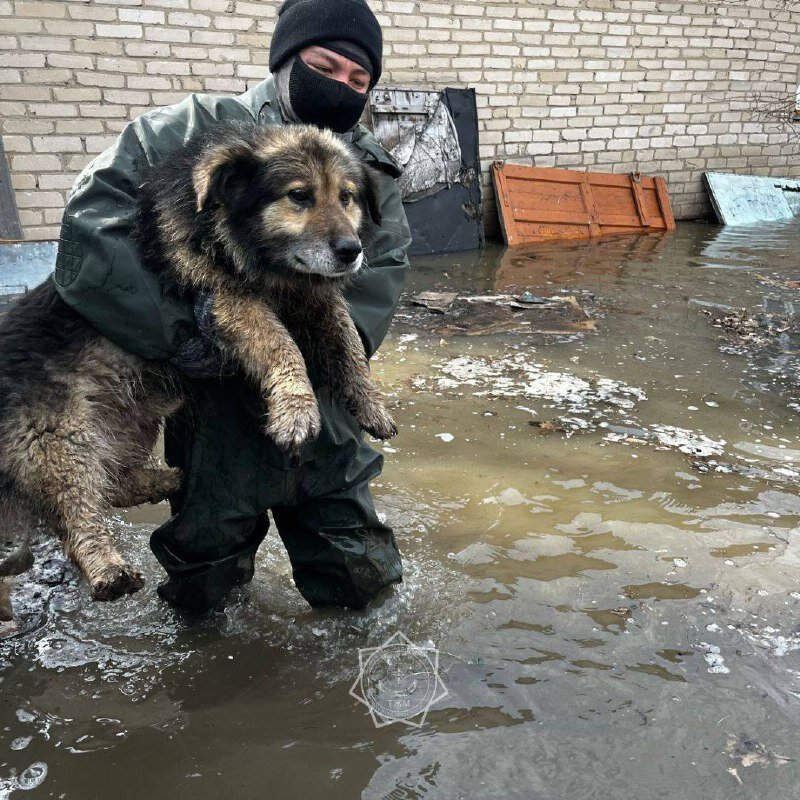 Фото: Соцсети. Листайте право