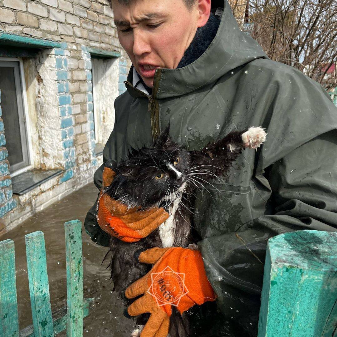 Фото: Соцсети