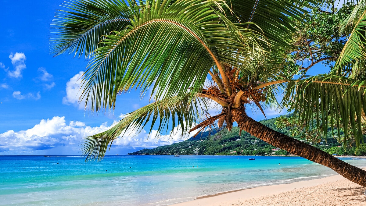 Пляж Бо-Валлон (Beau Vallon).