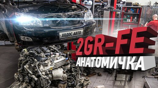 Toyota не ломается, говорили они!  Анатомичка 2GR-FE Lexus RX350