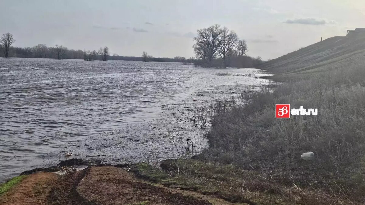 Победа над стихией: жители оренбургского поселка всем миром отстояли свои  дома | 56orb.ru | Дзен