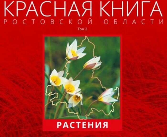 Источник фото: правительство Ростовской области