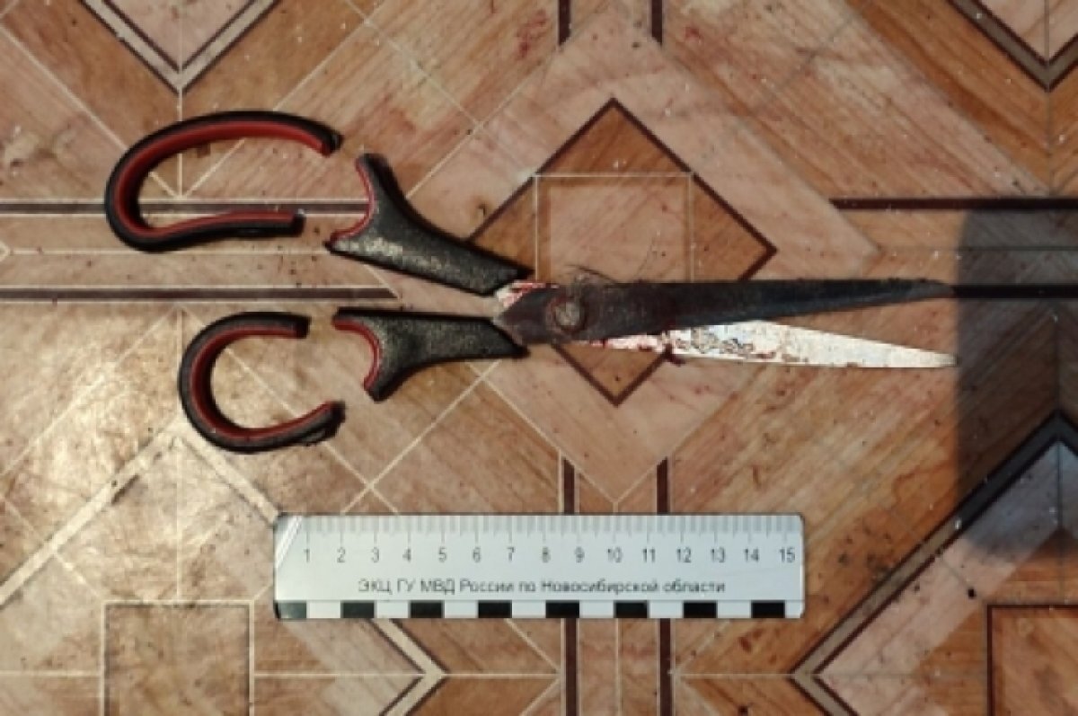    Под Волгоградом 75-летний подопечный приюта вонзил ножницы в своего соседа