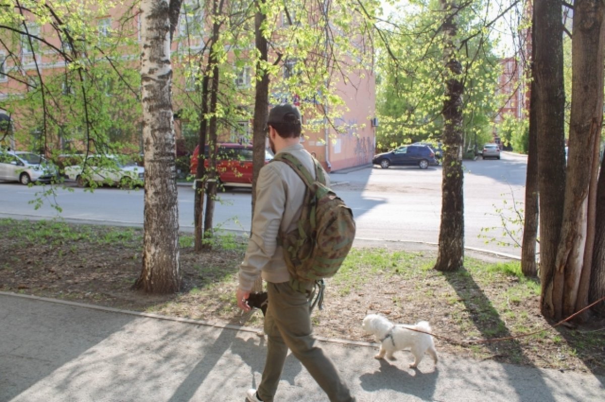    Семью собачников в Петербурге избили на детской площадке