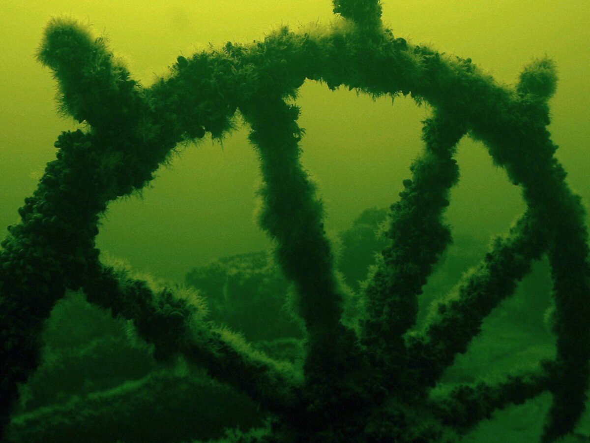    УФ-стекло способно противостоять накоплению микроорганизмов