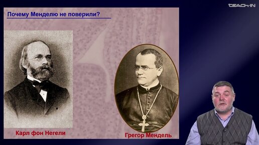 Чуб В.В. - Молекулярная генетика развития растений - 6. Эмбриональное развитие