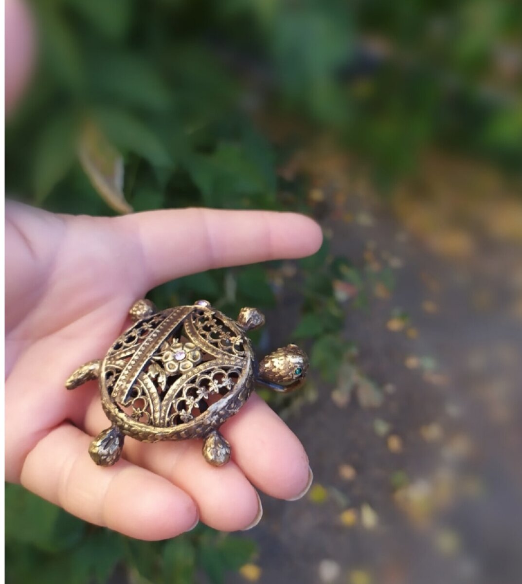 Кружевная Черепаха 