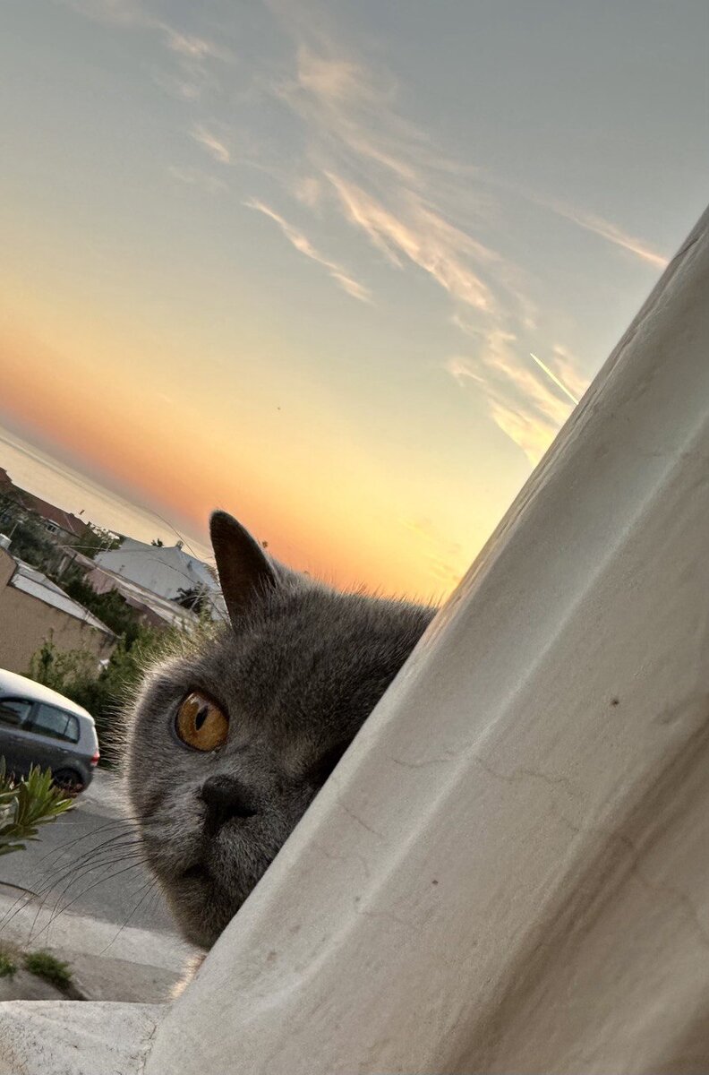 Силя и ее балкон