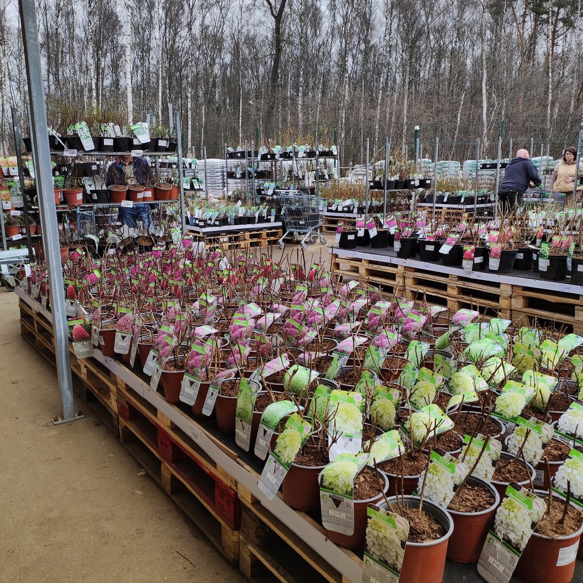 Летний павильон в Леруа Мерлен на Киевском шоссе, 24-ый км.