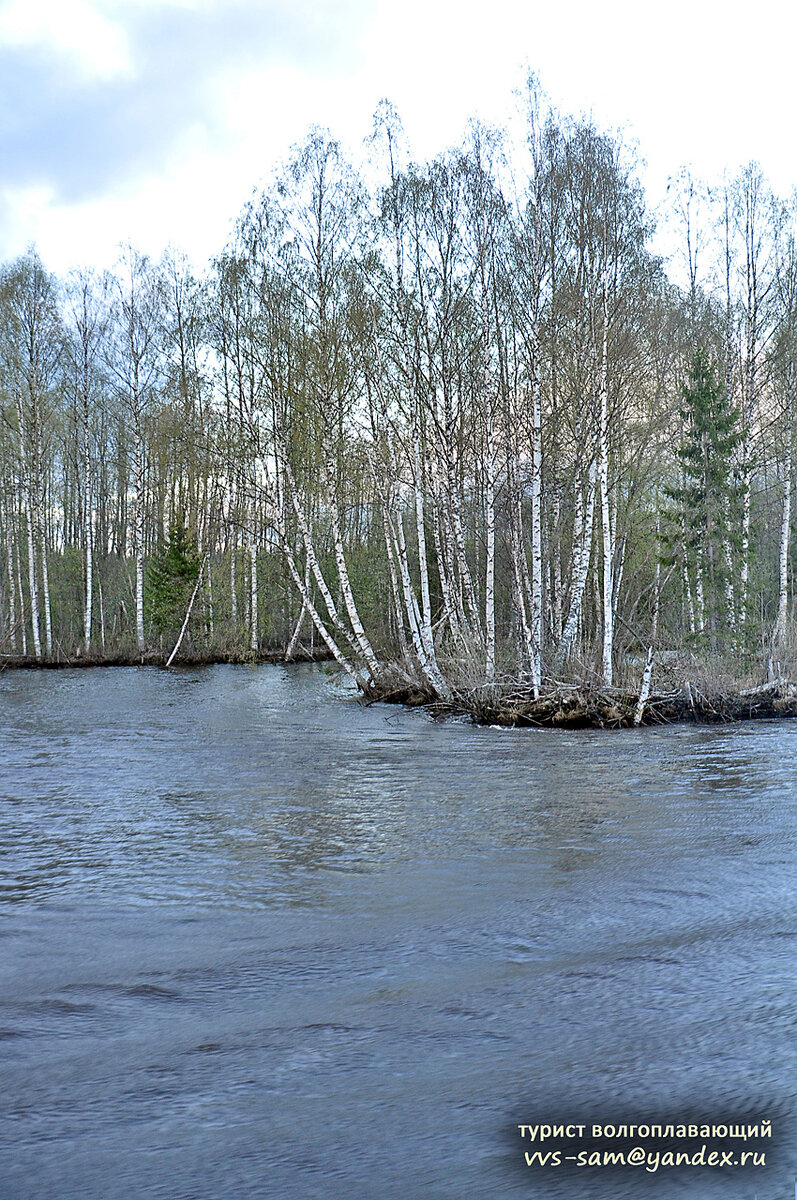 Фото 14.05.2014.