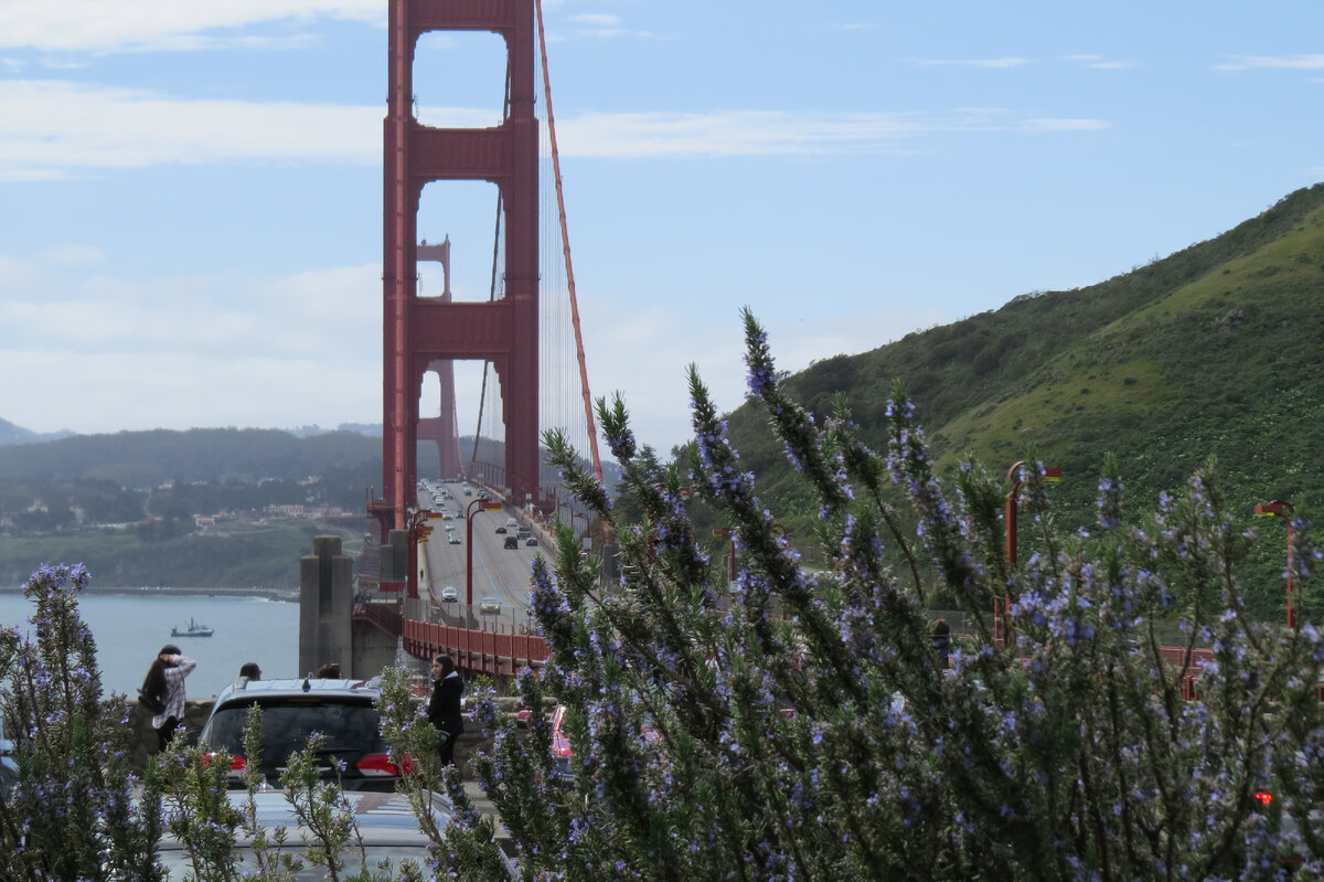 По дороге в Форт Росс в Калифорнии. Фото автора