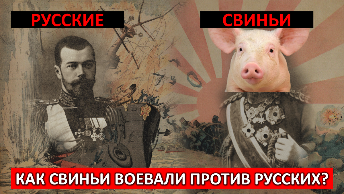 Источник фото: яндекс картинки + автор