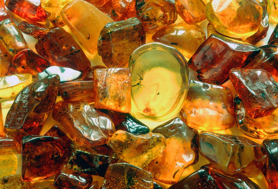  Вендский янтарь. Фото из открытых источников