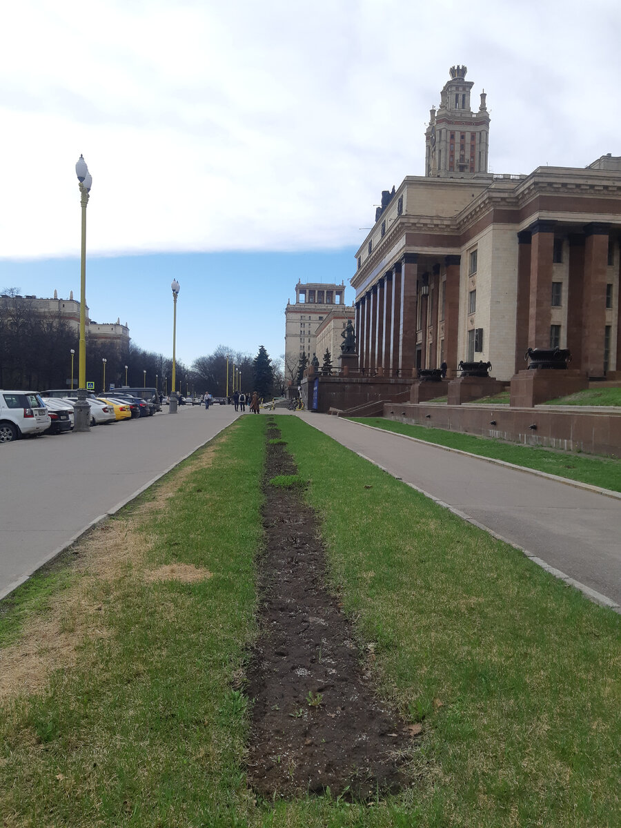 В 3 дня назад | Полли_сад | Дзен