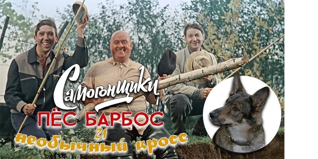 Фото из открытых источников.