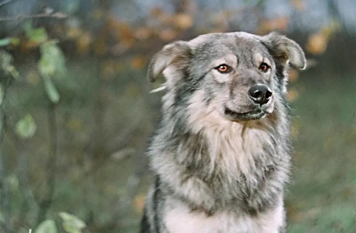 Фото из открытых источников. 