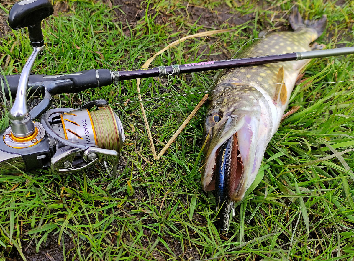 DUO TIDE MINNOW