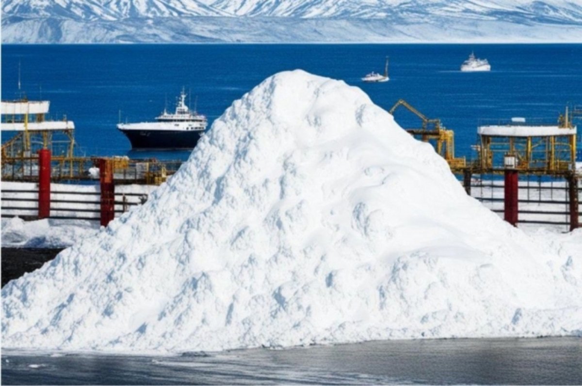    На Камчатке у «Морской гавани» потребовали убрать завалы грязного снега