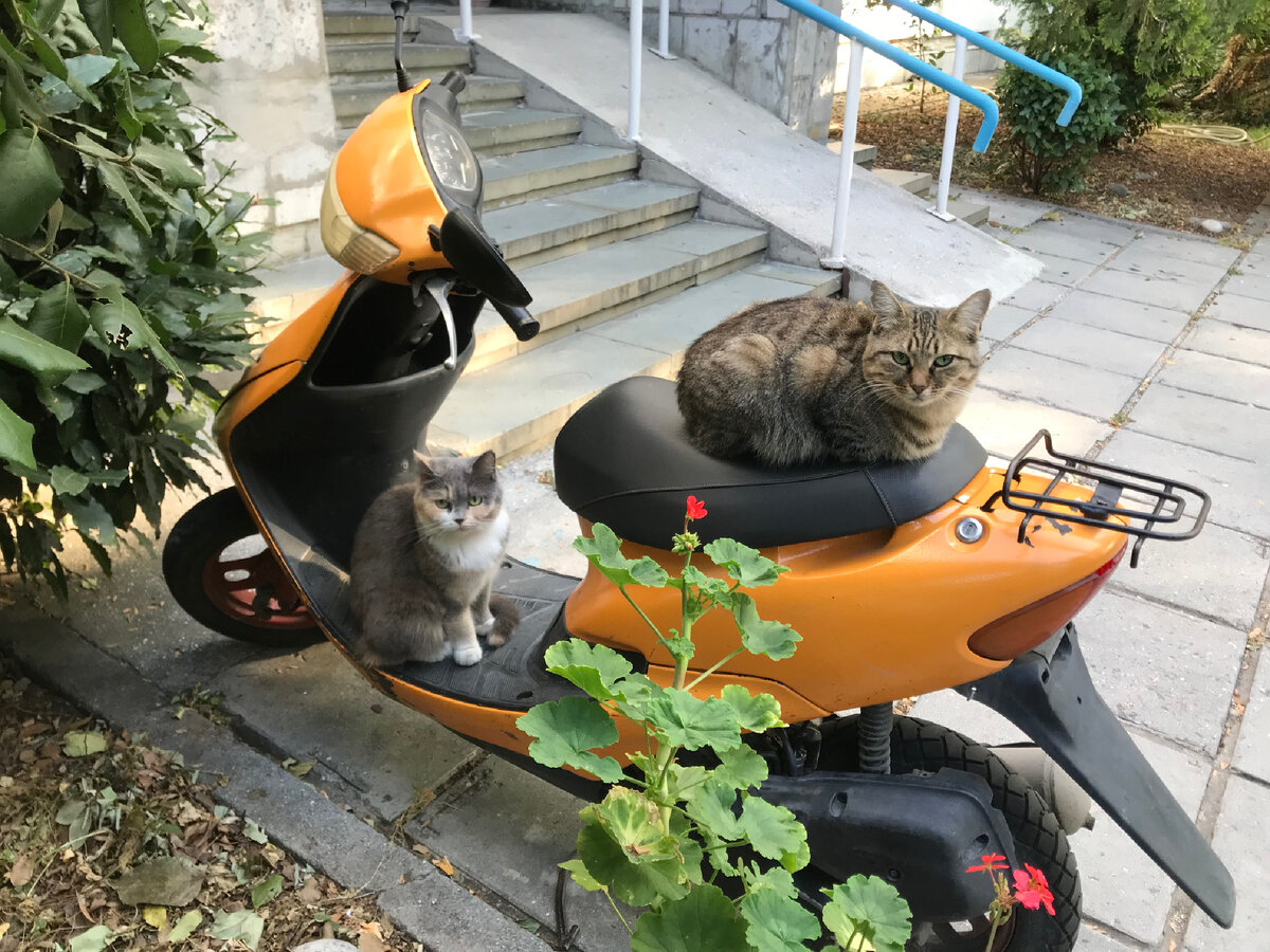 У общежития 