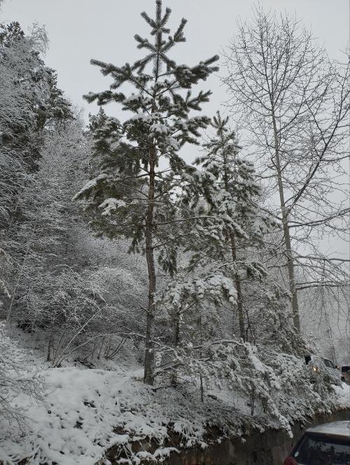    Фото: телеграм канал TYNDA NEWS