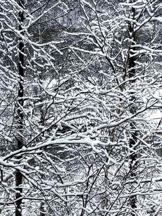    Фото: телеграм канал «Тамара Лысакова – глава Тындинского округа»