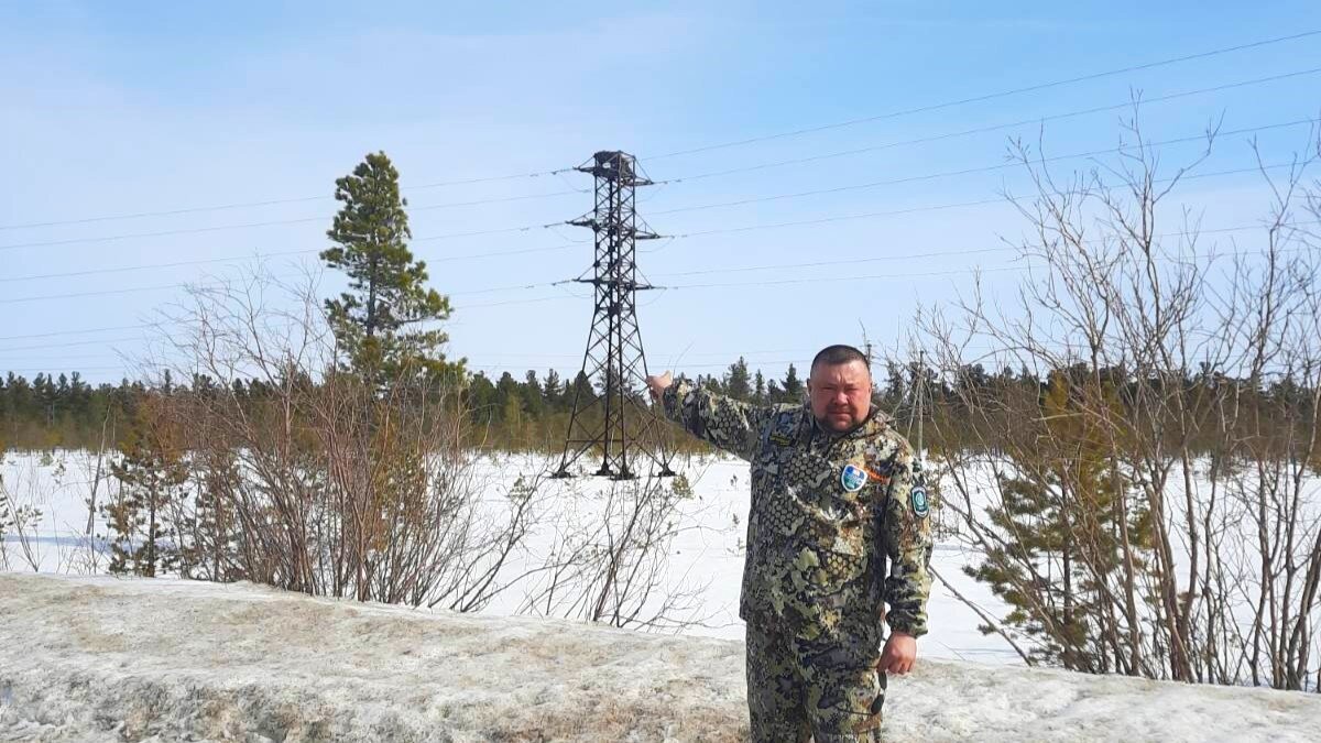    В Югре ждут орлана-белохвоста