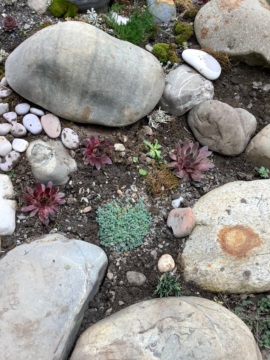 После прополки но до пересадки, накануне