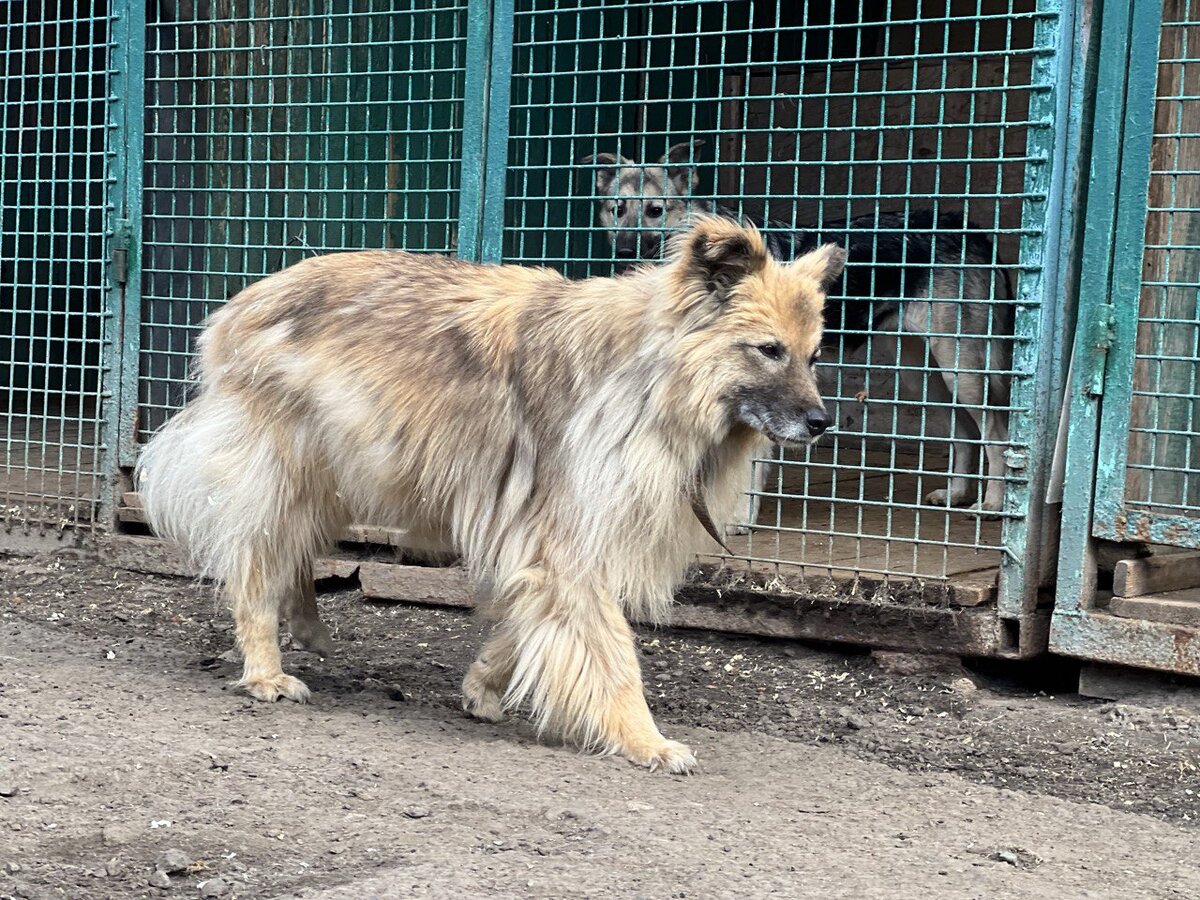 Сама себе на уме