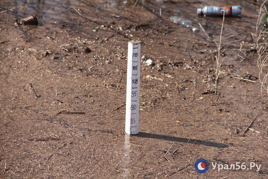    Уровень воды в Урале у Оренбурга за 10 часов так и не вырос, остановившись на отметке 11 м 87 см