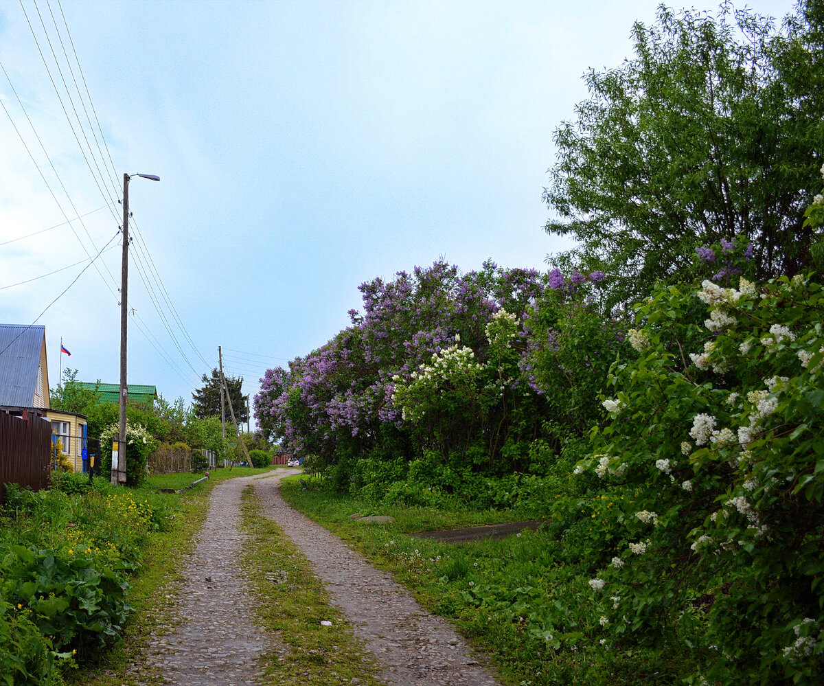 Ну что? Типичный сельский вид! Все фотографии в статье мои