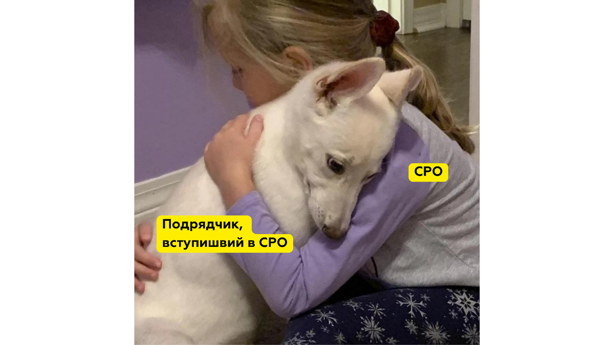 Источник: https://www.reddit.com/r/lookatmydog/comments/ecln39/my_human/