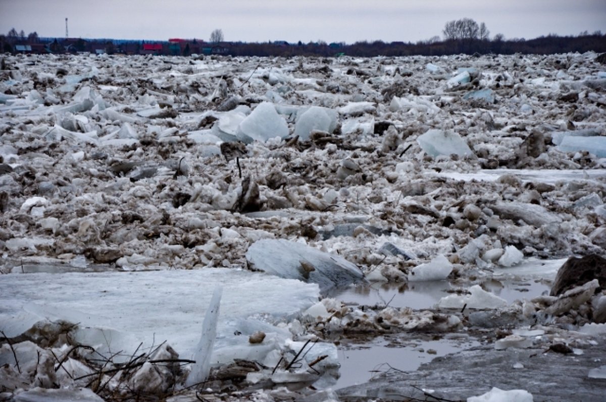    Режим ЧС введут в Калтайском и Зоркальцевском сельских поселениях
