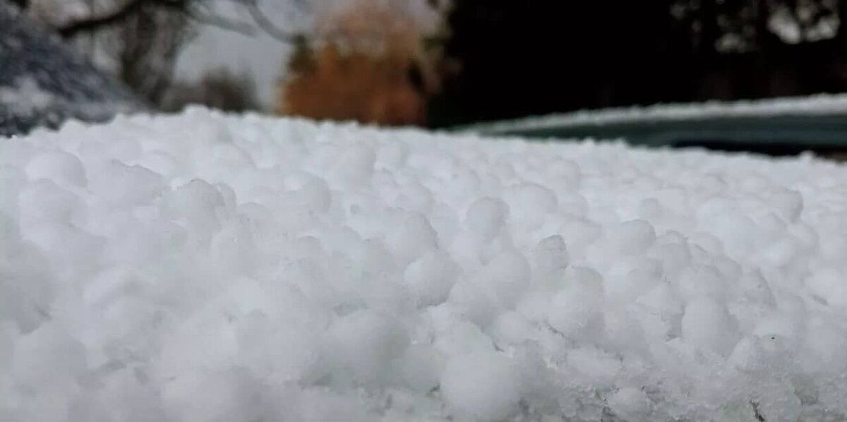 Фото: РИА "Новости" (https://cdnn1.img.crimea.ria.ru/img/07e7/0c/17/1133748068_0:0:1280:720_640x0_80_0_0_bce2a9d12eaec050a3bd5e4662021d61.jpg.webp)