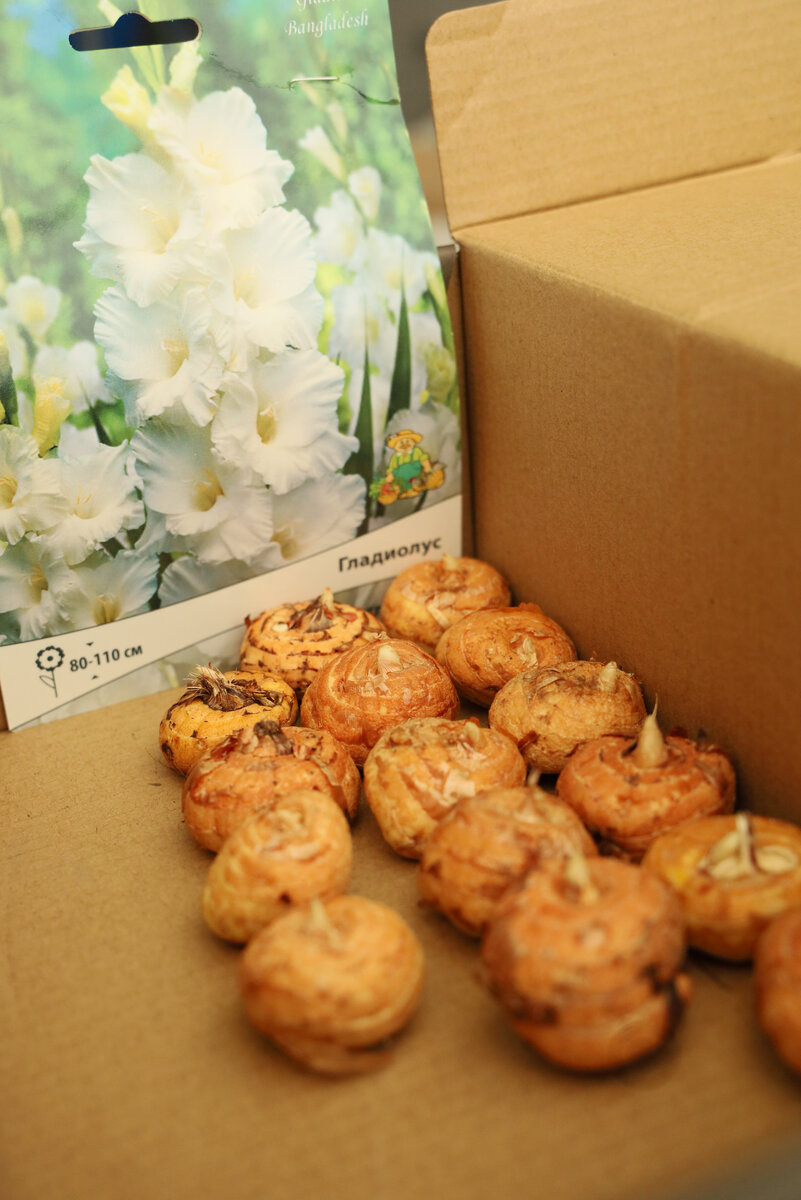 белые - они помельче желтых и салатовых прям в 2 раза
