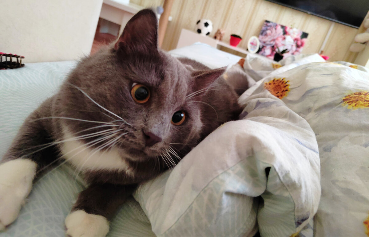 Фото автора канала.