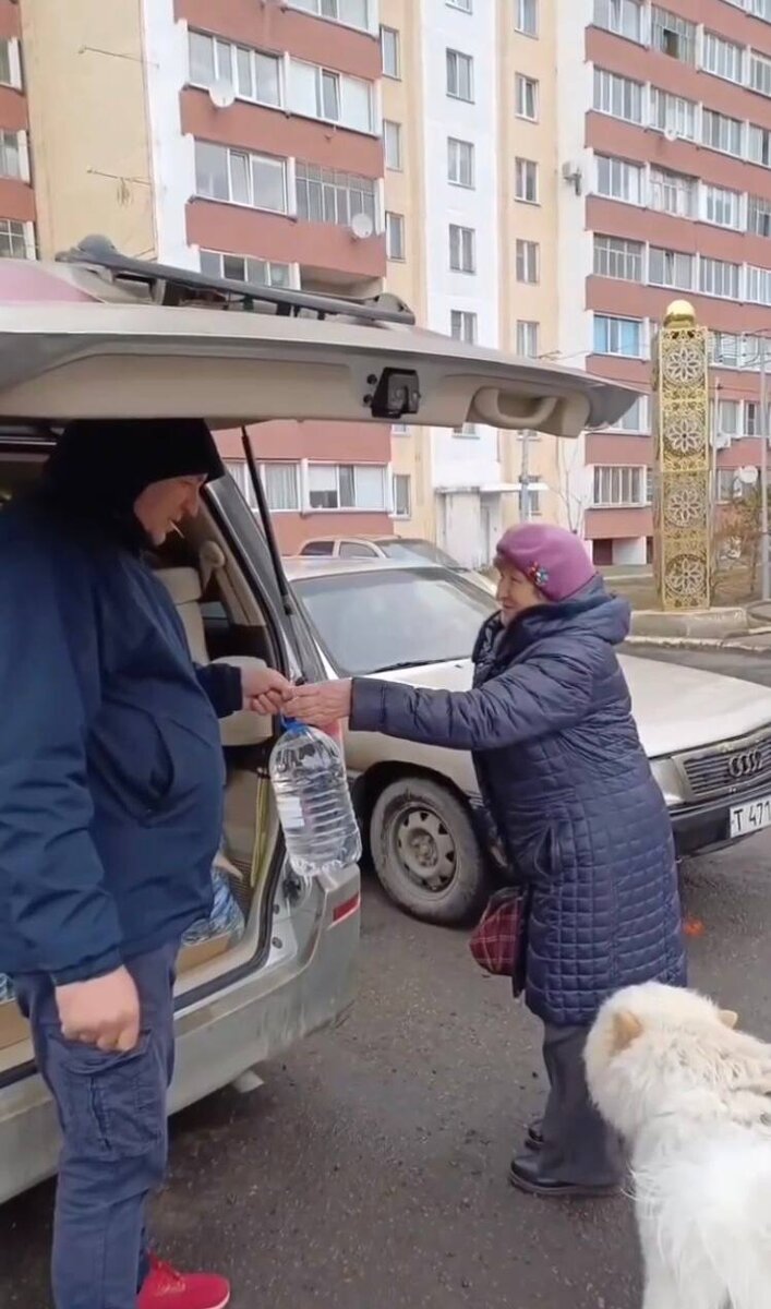 Фото: Скрин видер
