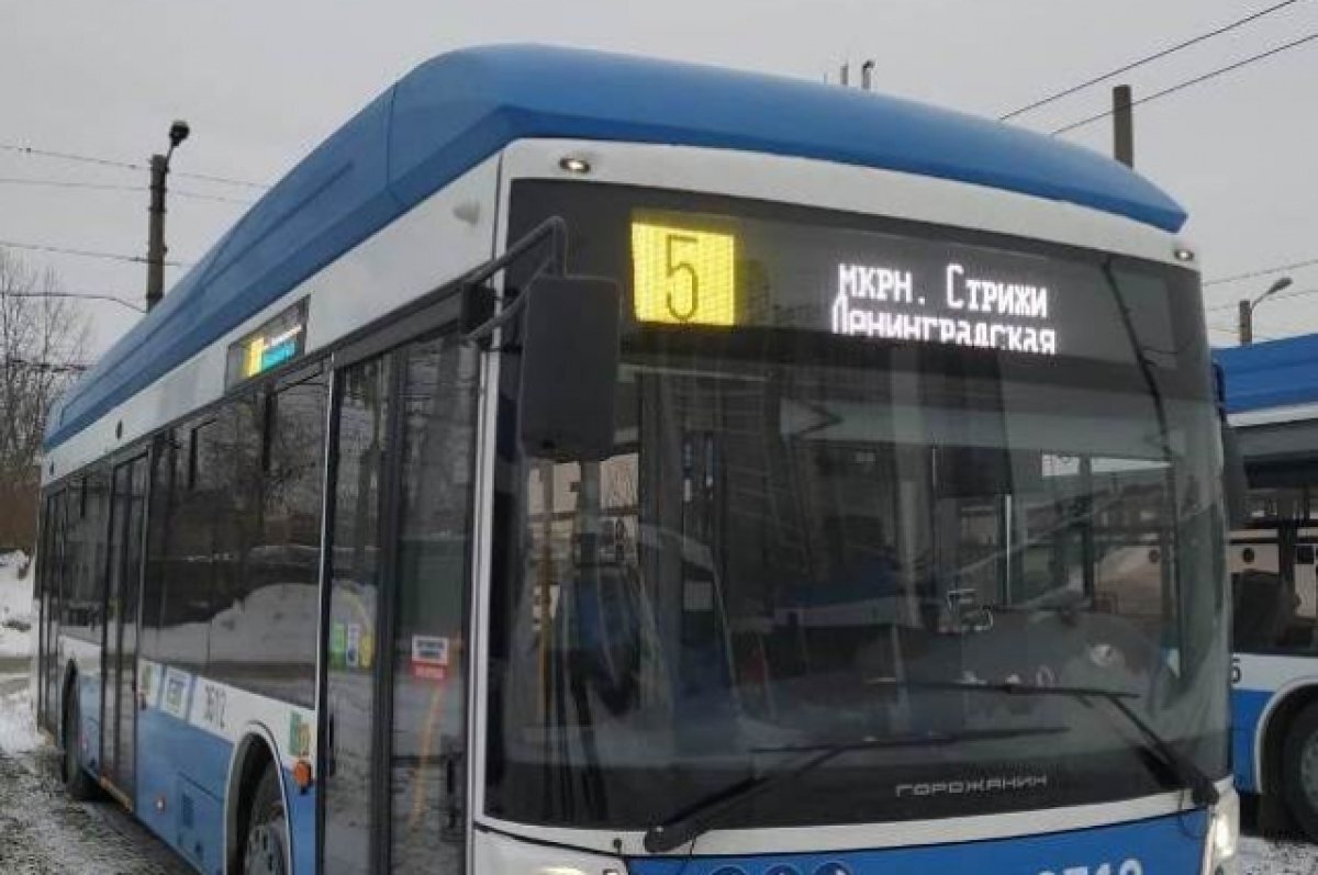   В Новосибирск доставят 49 троллейбусов до августа 2024 года