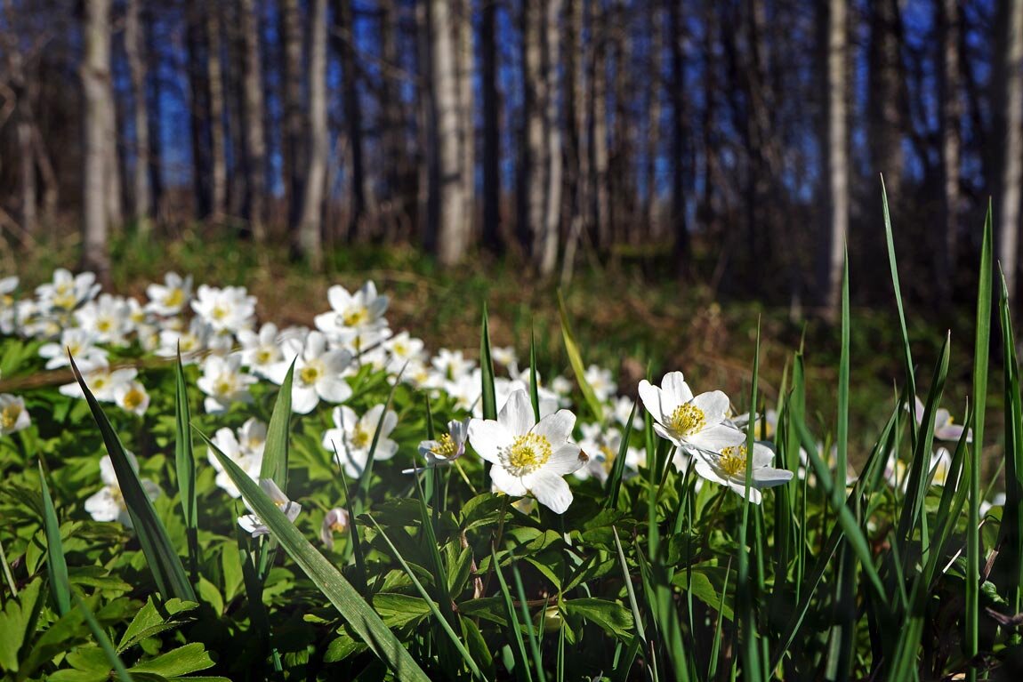 Фото из открытого источника