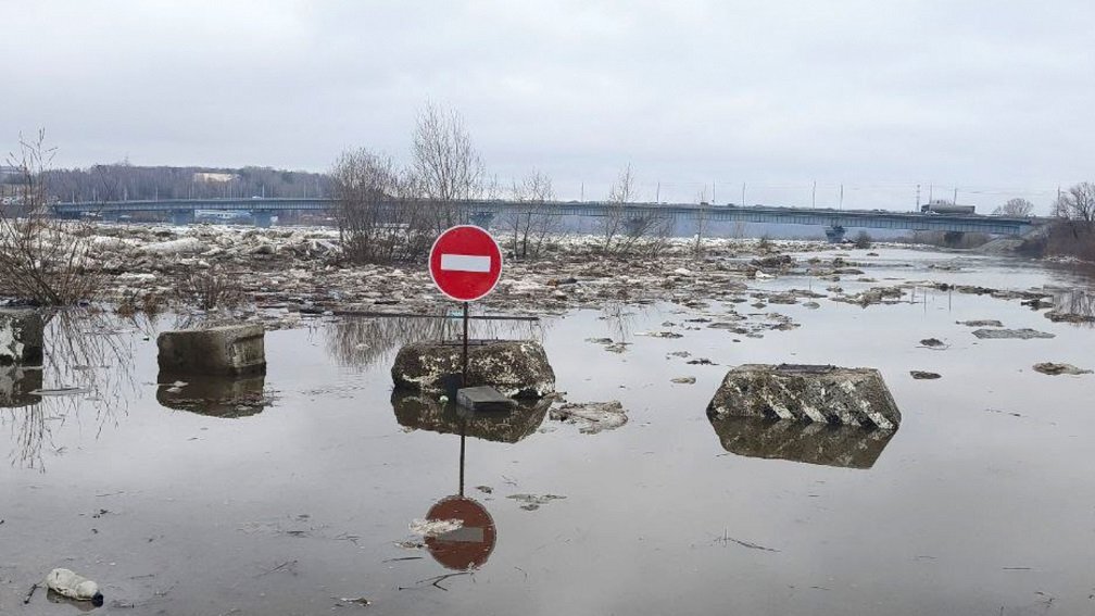    Фото: МЧС России