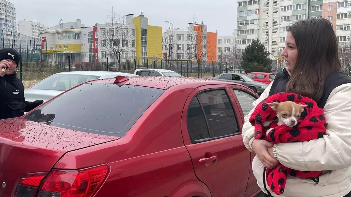 Жители Белгорода после обстрела. Фото: Вячеслав Гладков