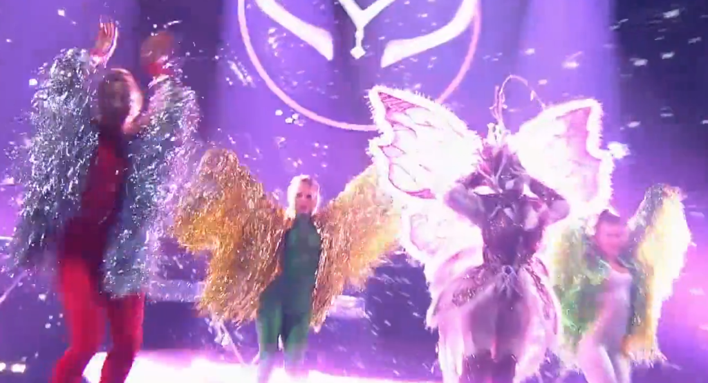     Бабочка пытается вставить голову на место Источник: t.me/ntv_maska Автор фото: Скриншот видео